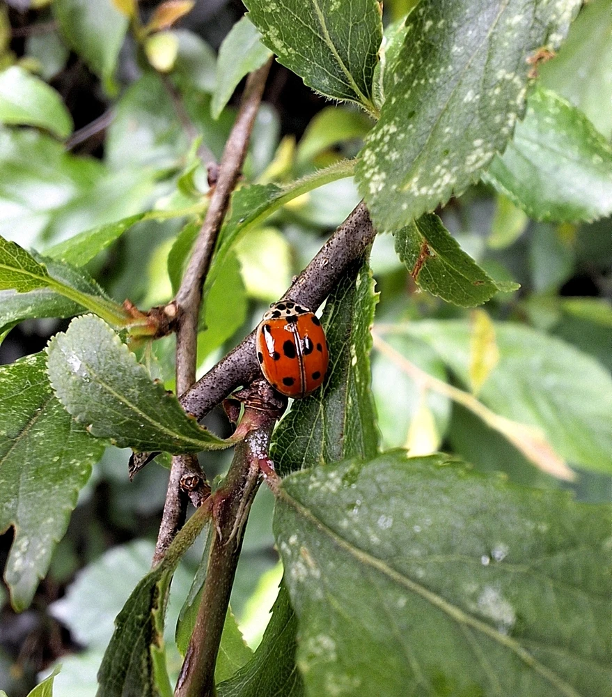 Image ajoutée par Camille