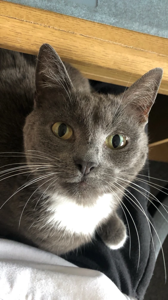 GIF uploaded by Sean