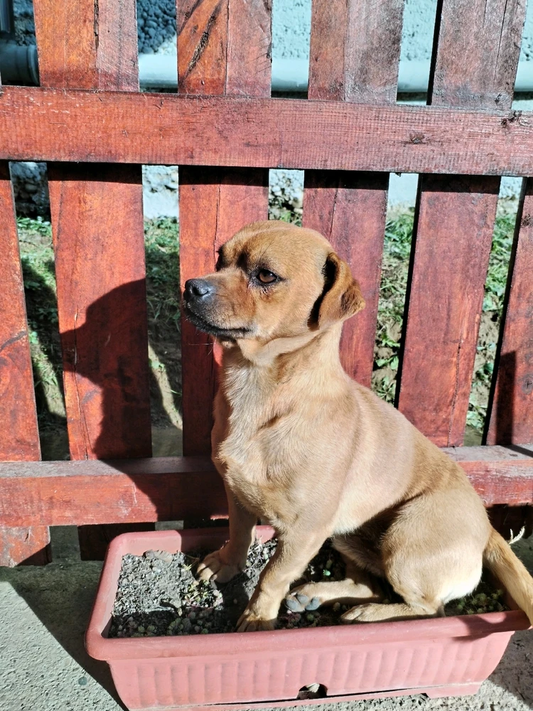 Sliku je postavio/la Mihailo