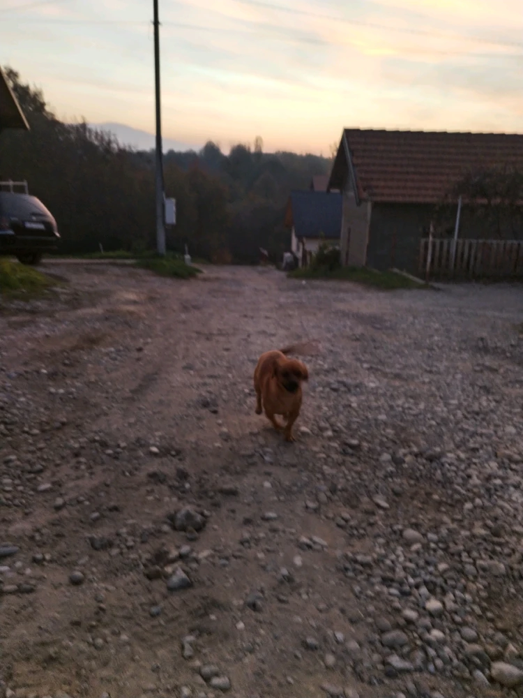 Sliku je postavio/la Mihailo