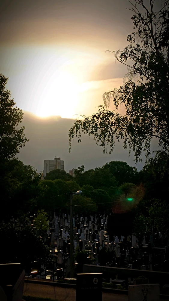 GIF subido por Diego 🖤✨