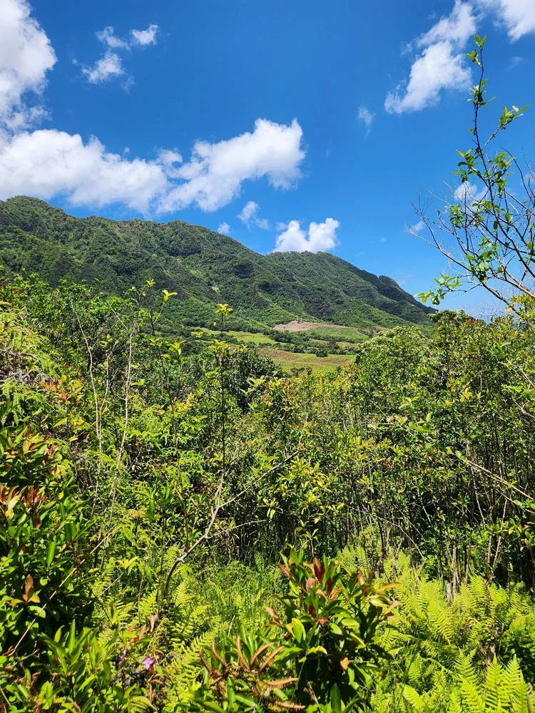 Image uploaded by 《🌹.::Lenöré::.🌹》