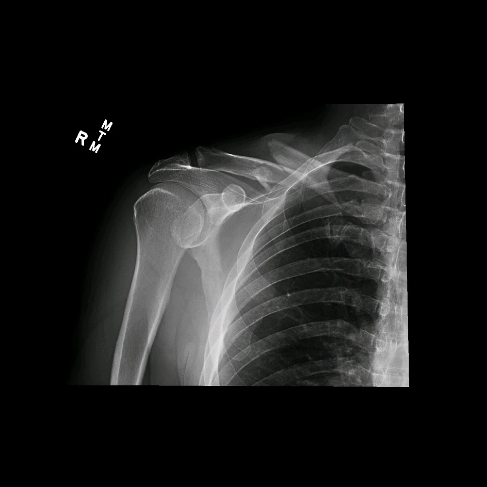 Image uploaded by Justin