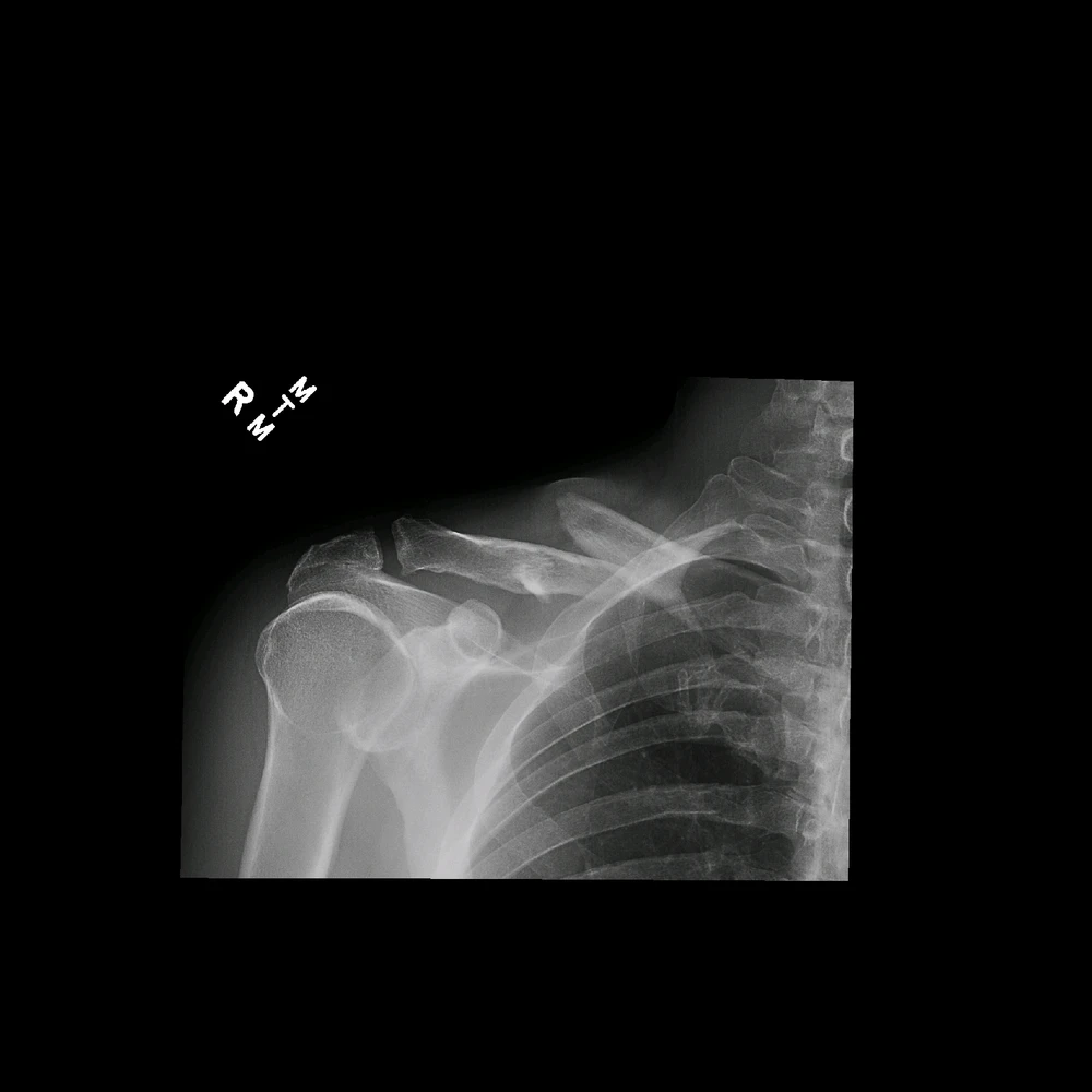 Image uploaded by Justin