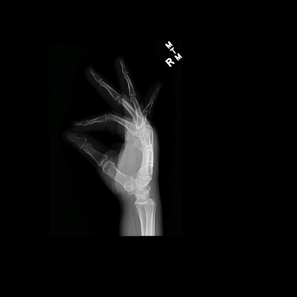 Image uploaded by Justin