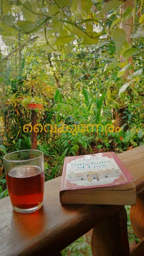 Elbin അപ്‌ലോഡ് ചെയ്ത GIF