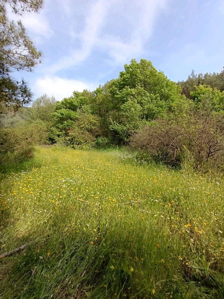 Image uploaded by Arda