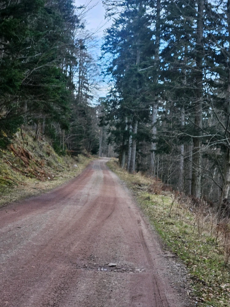 mountain trip
🫶🫶