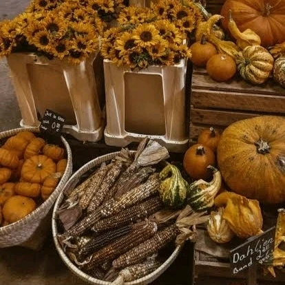 Image uploaded by 𝓢𝓮𝓻𝓮𝓷 • 𝓢𝓮𝓻𝓮𝓷𝓭𝓲𝓹𝓲𝓽𝔂