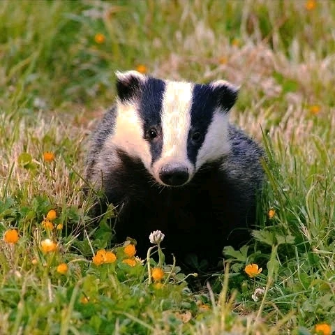 Image uploaded by 𝓢𝓮𝓻𝓮𝓷 • 𝓢𝓮𝓻𝓮𝓷𝓭𝓲𝓹𝓲𝓽𝔂