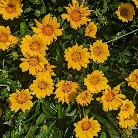 Image uploaded by 𝓢𝓮𝓻𝓮𝓷 • 𝓢𝓮𝓻𝓮𝓷𝓭𝓲𝓹𝓲𝓽𝔂