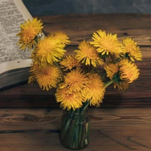 Image uploaded by 𝓢𝓮𝓻𝓮𝓷 • 𝓢𝓮𝓻𝓮𝓷𝓭𝓲𝓹𝓲𝓽𝔂