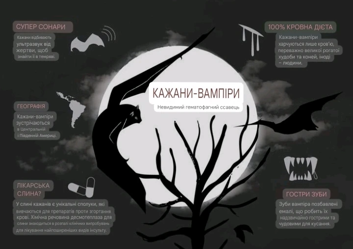 Зображення завантажив Natalia🦇