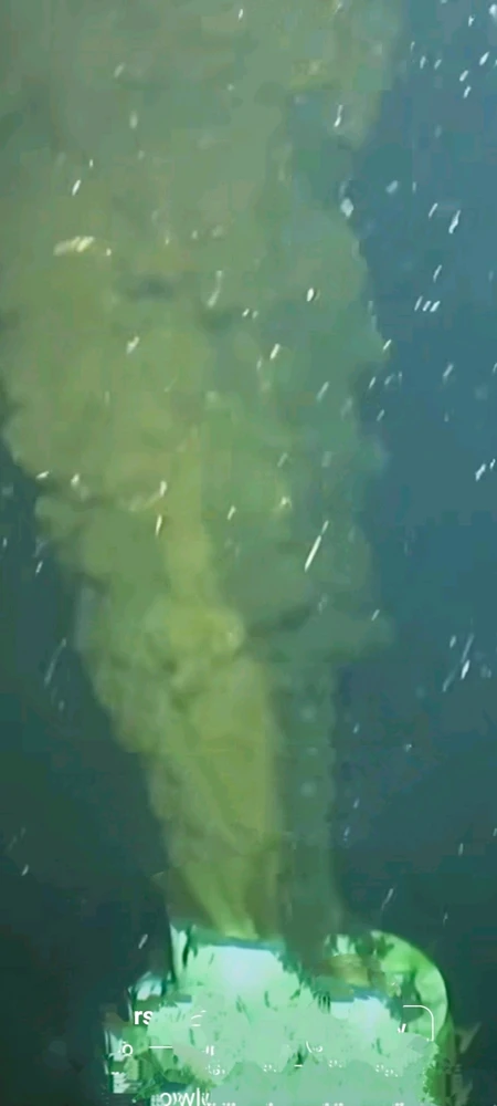 Image uploaded by Lee