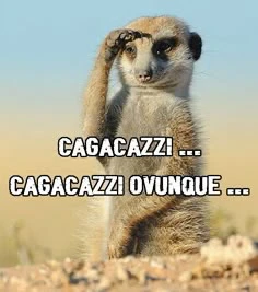 GIF caricata da Mirko