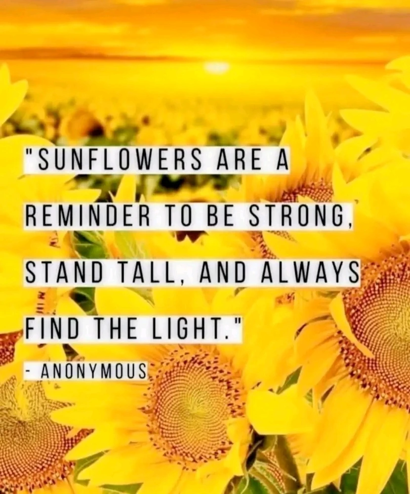 GIF uploaded by ❤ Sophia aka Mango Mami ❤️