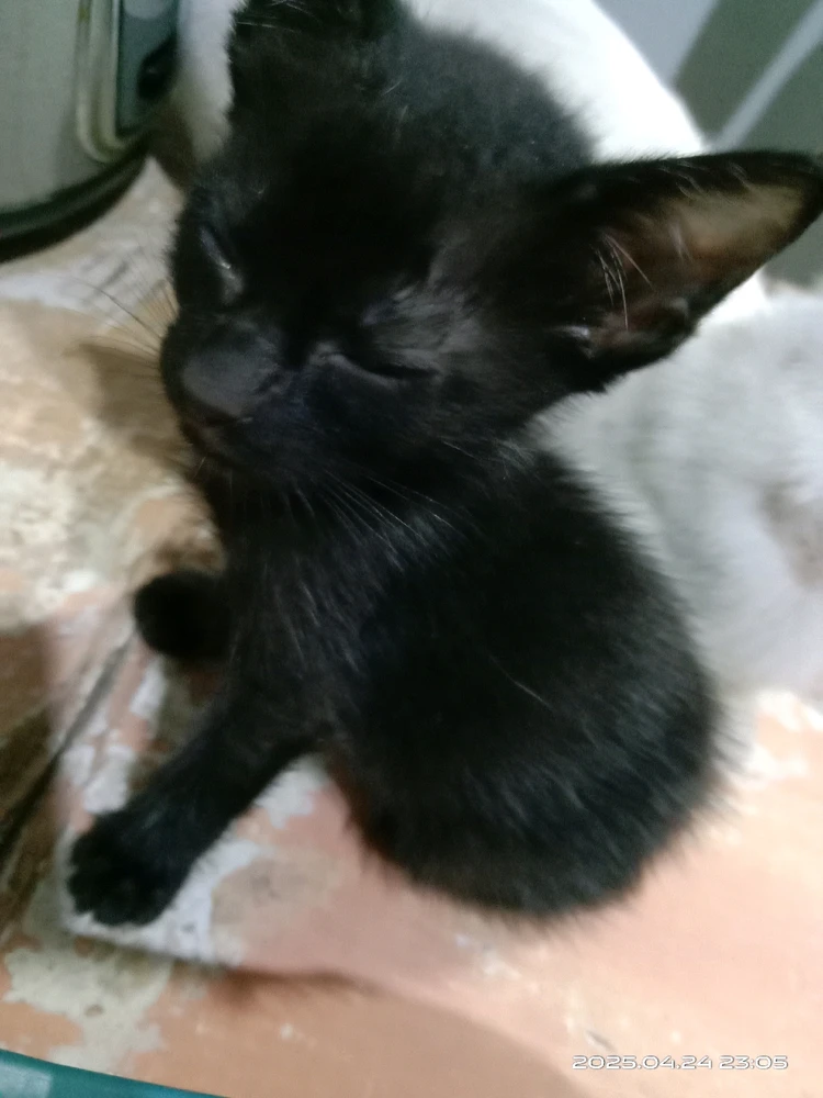 Image uploaded by 💜J💜o💜e💜y💜