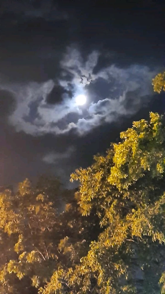 GIF diunggah oleh Kaka