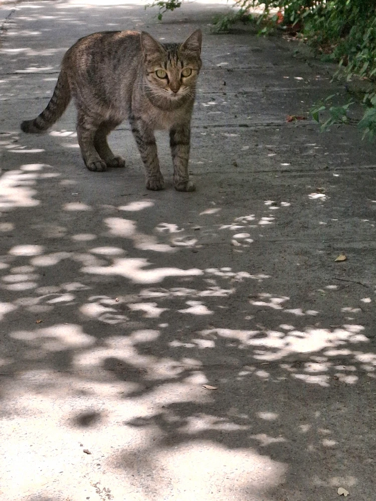 تصویر آپلود شده توسط Hirorezai