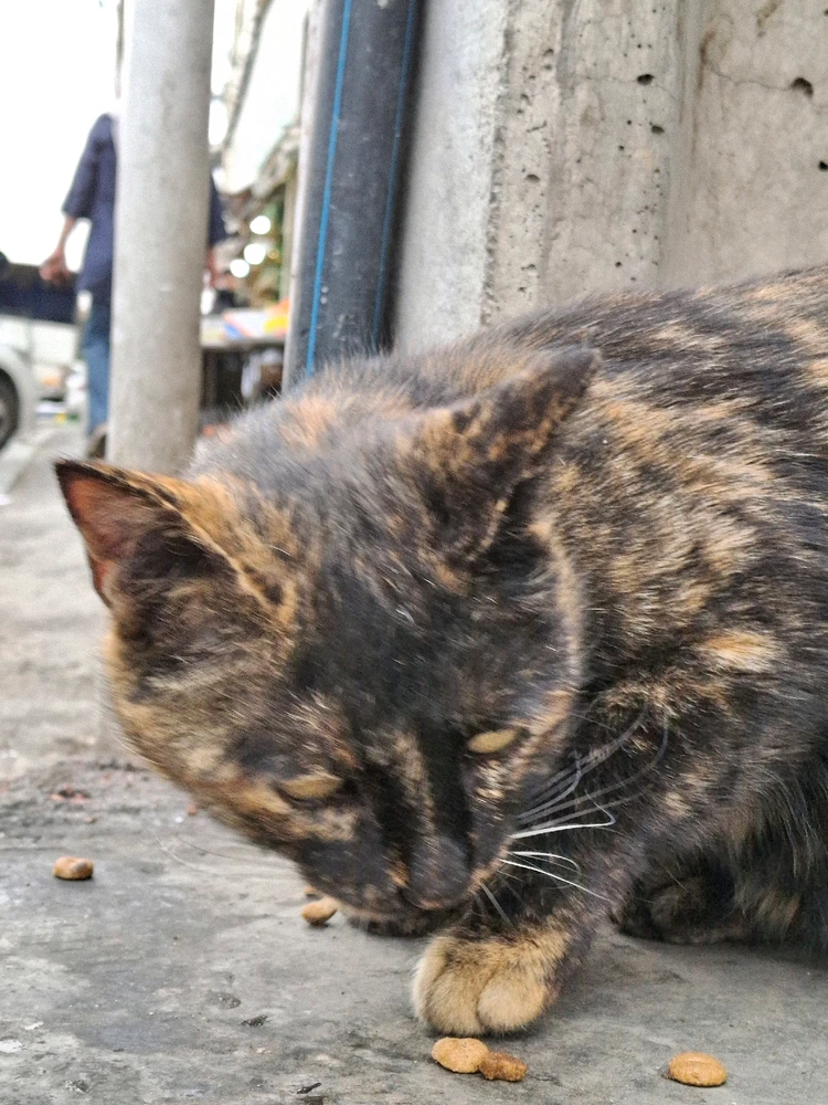 تصویر آپلود شده توسط Hirorezai