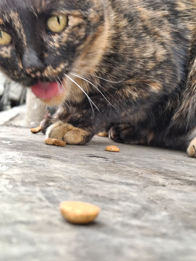 تصویر آپلود شده توسط Hirorezai