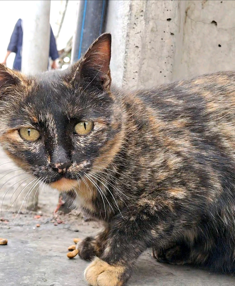 تصویر آپلود شده توسط Hirorezai