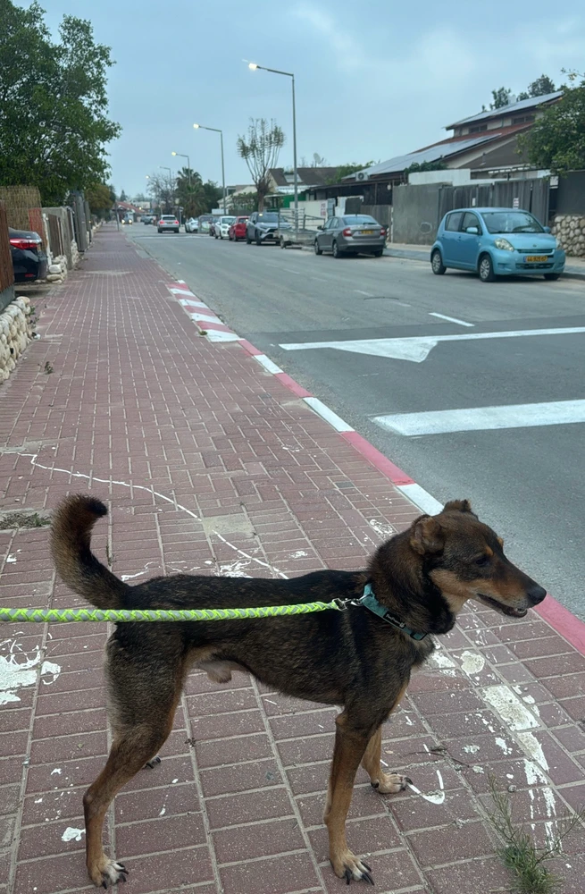 Image uploaded by Liem🦋