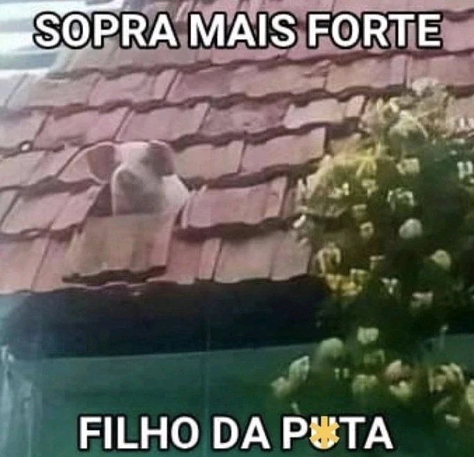 GIF enviado por Jailson Jônio