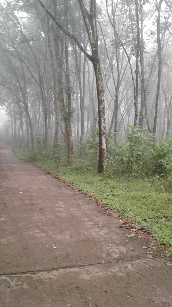 GIF uploaded by Kumara Kaveesha