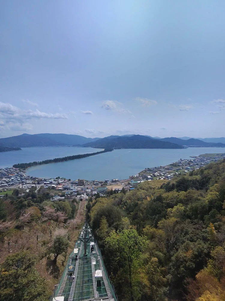Image uploaded by Cal