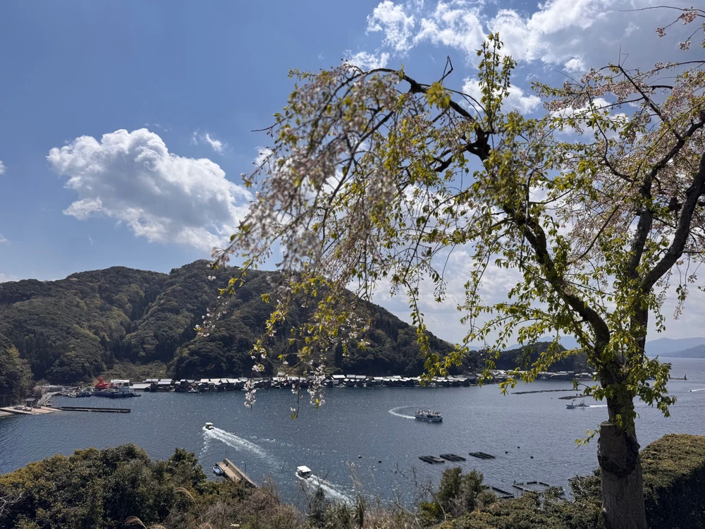 Image uploaded by Cal
