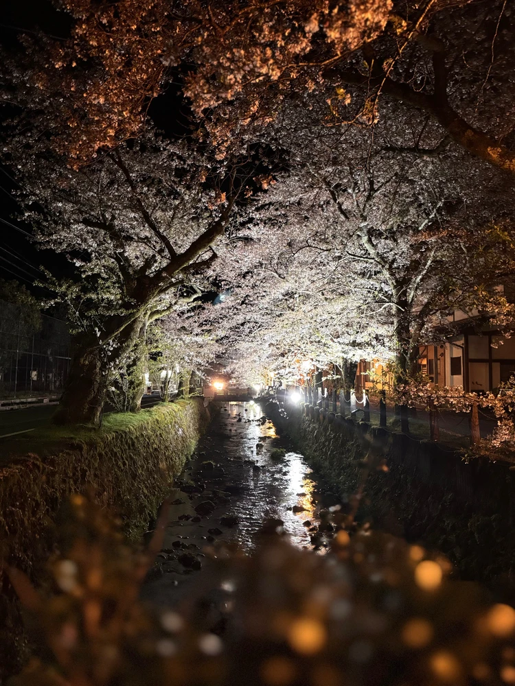 Image uploaded by Cal