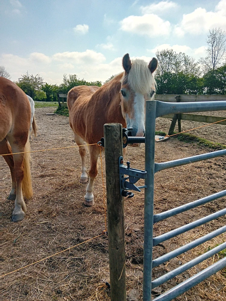 GIF geüpload door Isa