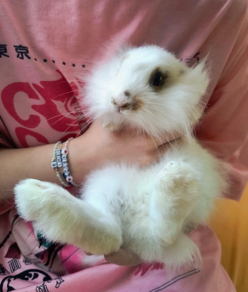 GIF dodany przez Karol