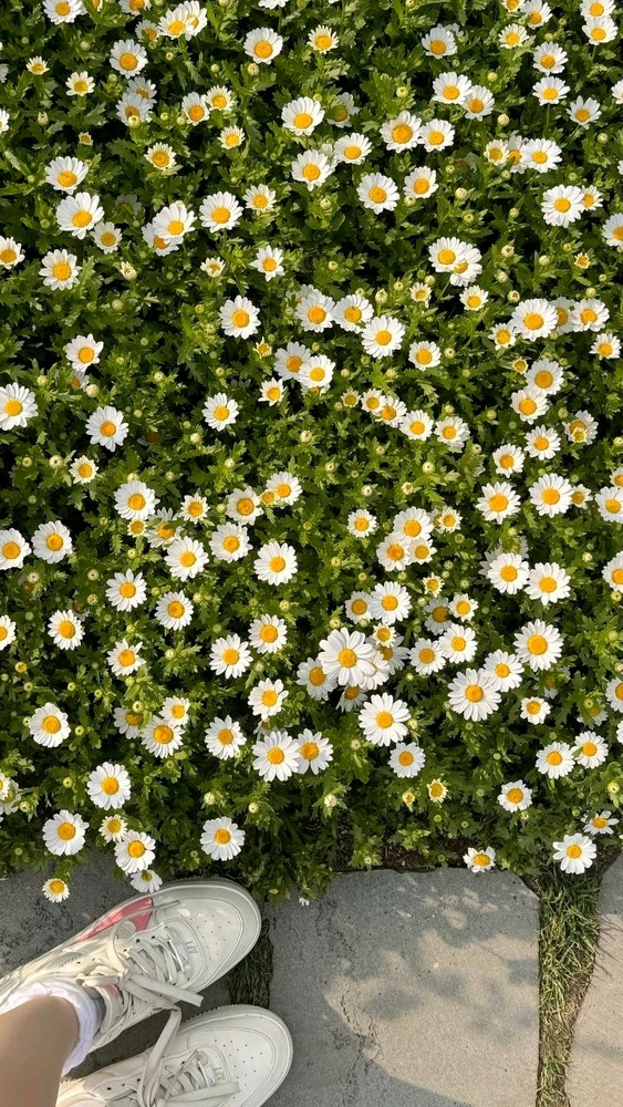 Said님이 올린 GIF