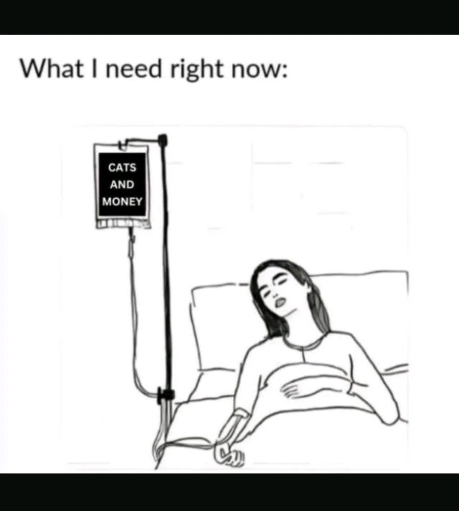 GIF hochgeladen von Philip