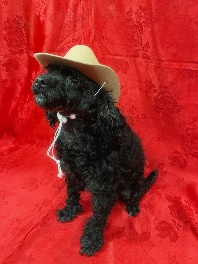 Image uploaded by Liu