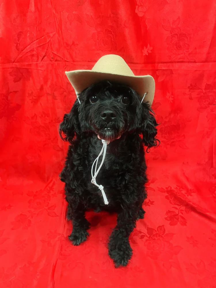 Image uploaded by Liu