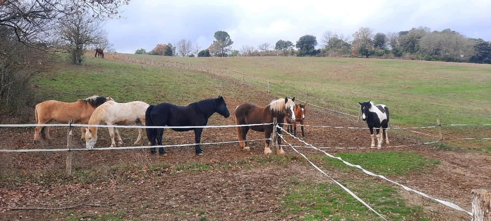GIF ajouté par Peter