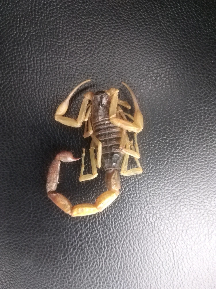 GIF آپلود شده توسط Akbar