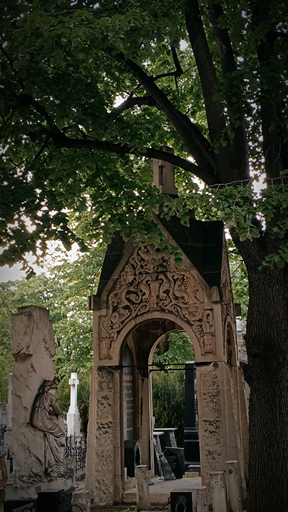 GIF uploaded by Diego 🖤✨