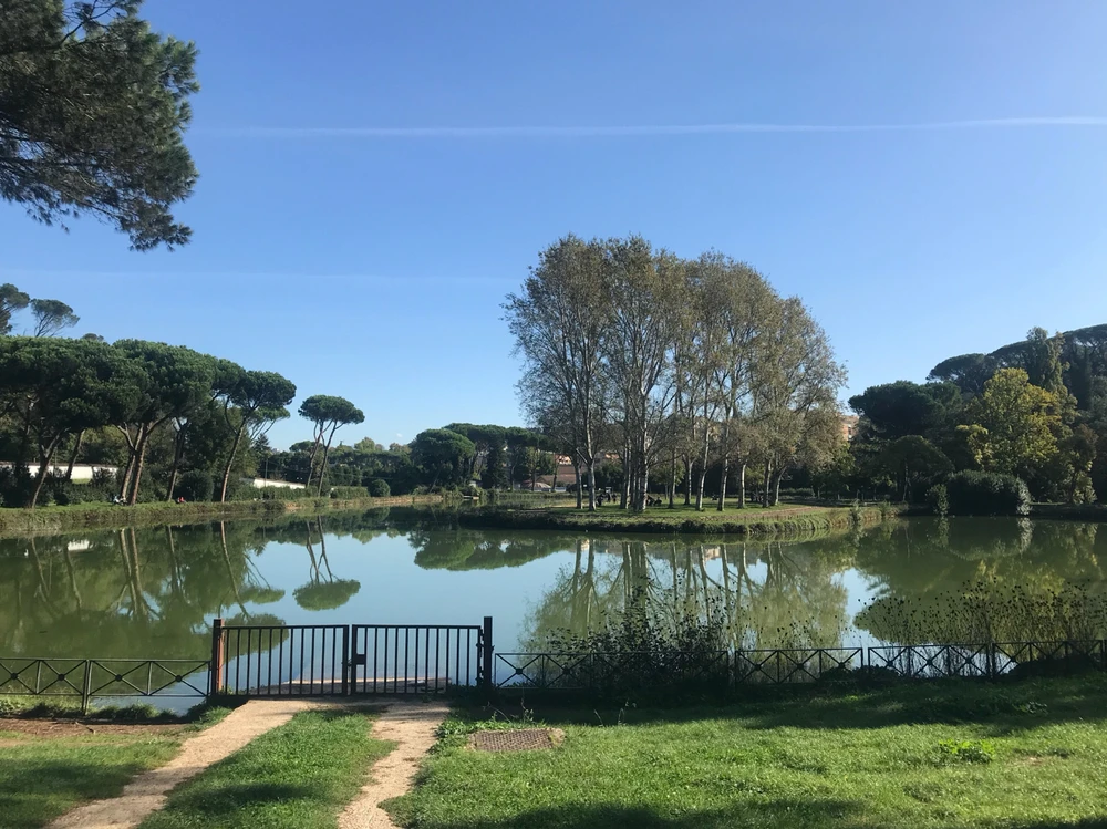 GIF caricata da Gianluca