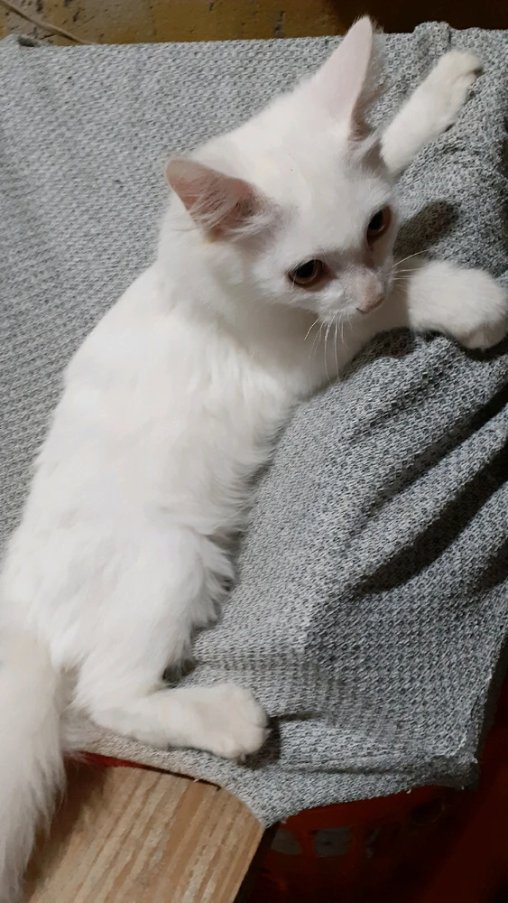 GIF uploaded by Rian