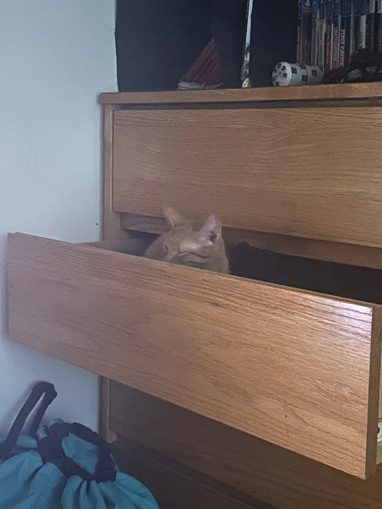 GIF uploaded by Rafael