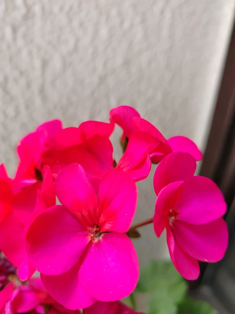 GIF آپلود شده توسط Ali💚💚💚