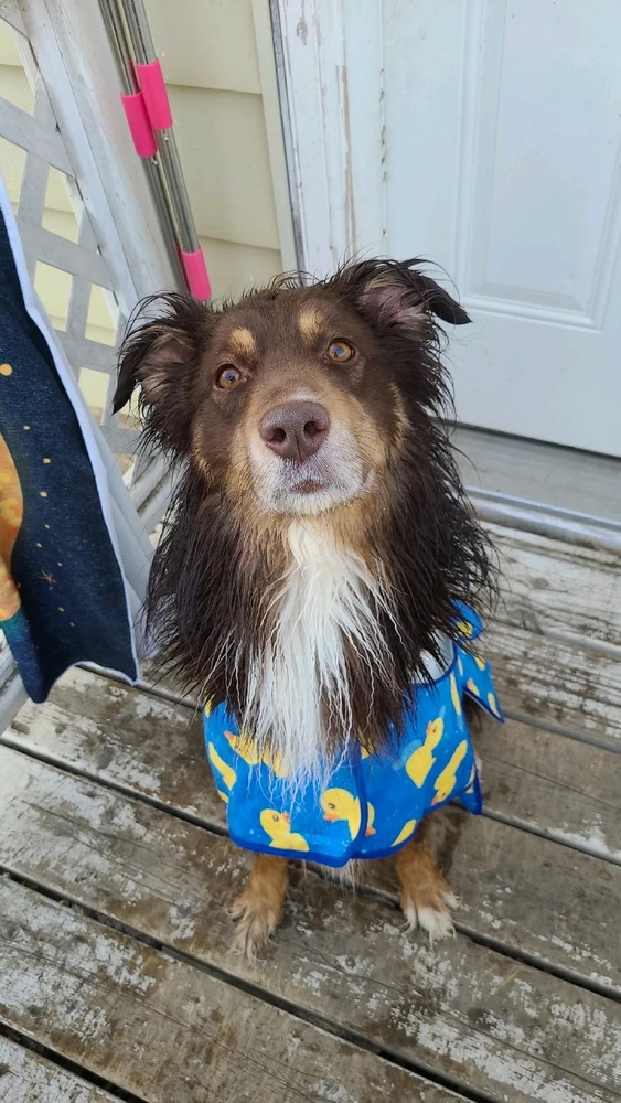 GIF uploaded by Elara Ellewood