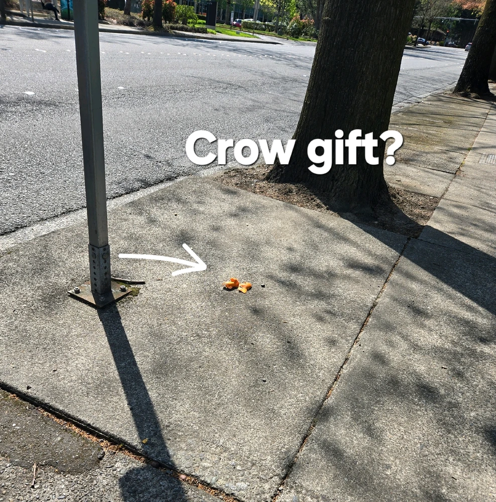 GIF diunggah dening Jordan