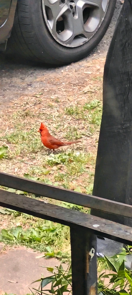 GIF uploaded by Clifford