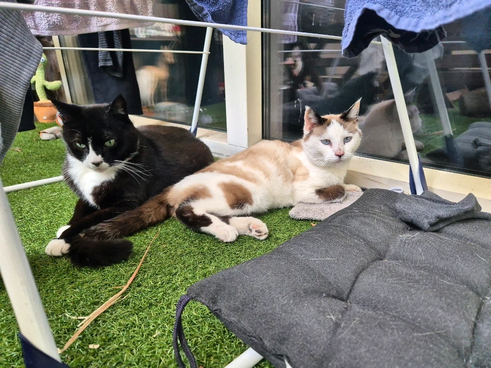 GIF geüpload door Sam