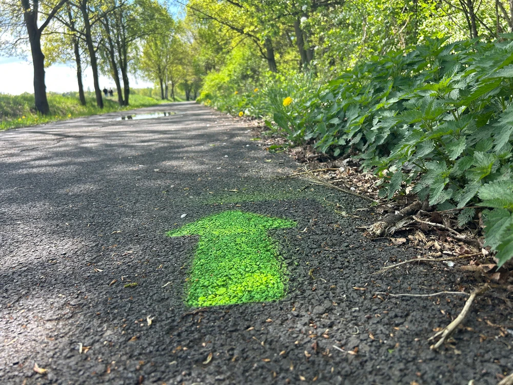 Obrázek nahrál Jiří